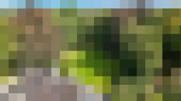 Le Chevalierlaan 3 A Epe thumbnail 48