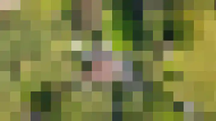 Le Chevalierlaan 3 A Epe thumbnail 49