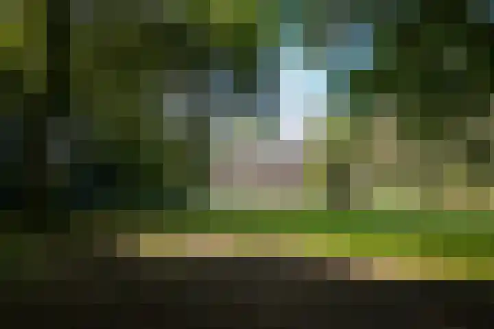 Le Chevalierlaan 3 B Epe thumbnail 34