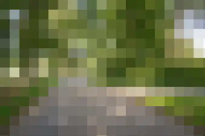 Le Chevalierlaan 3 B Epe thumbnail 38