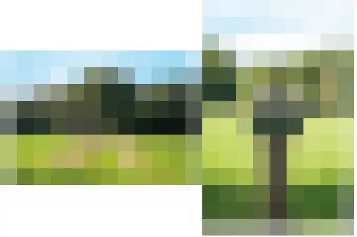 Le Chevalierlaan 3 B Epe thumbnail 40