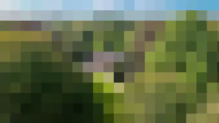 Le Chevalierlaan 3 B Epe thumbnail 43