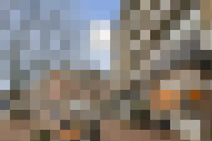Le Mairekade 177 Amsterdam thumbnail 20