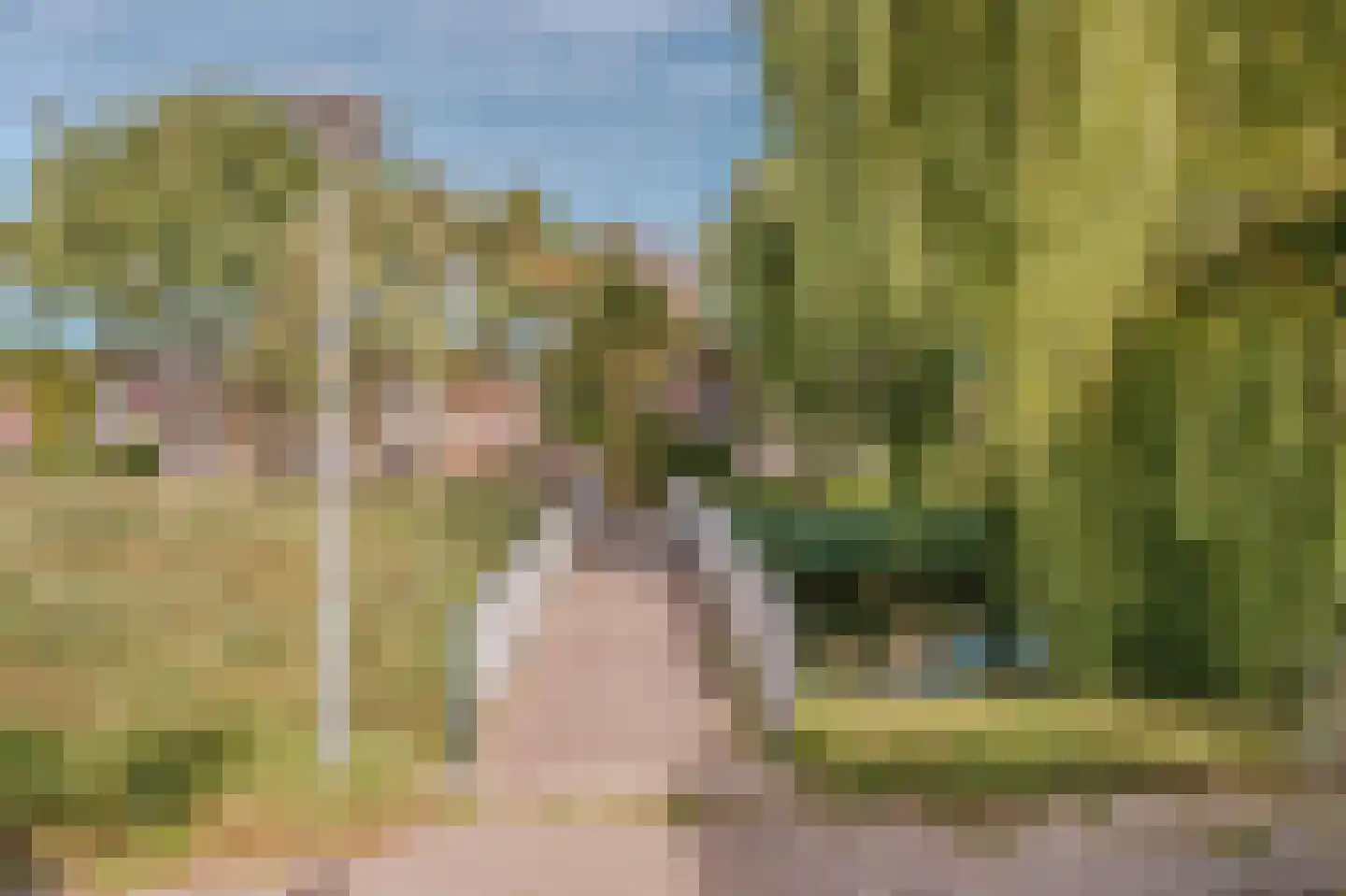 Le Tourmalet 36 Amsterdam thumbnail 43