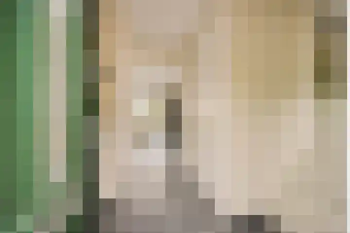 Lebeauhof 14 Leiden thumbnail 4