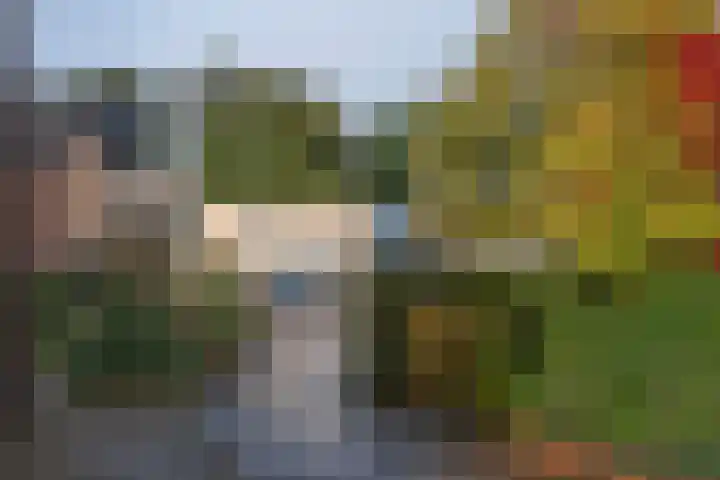 Ledalaan 47 A Enschede thumbnail 26