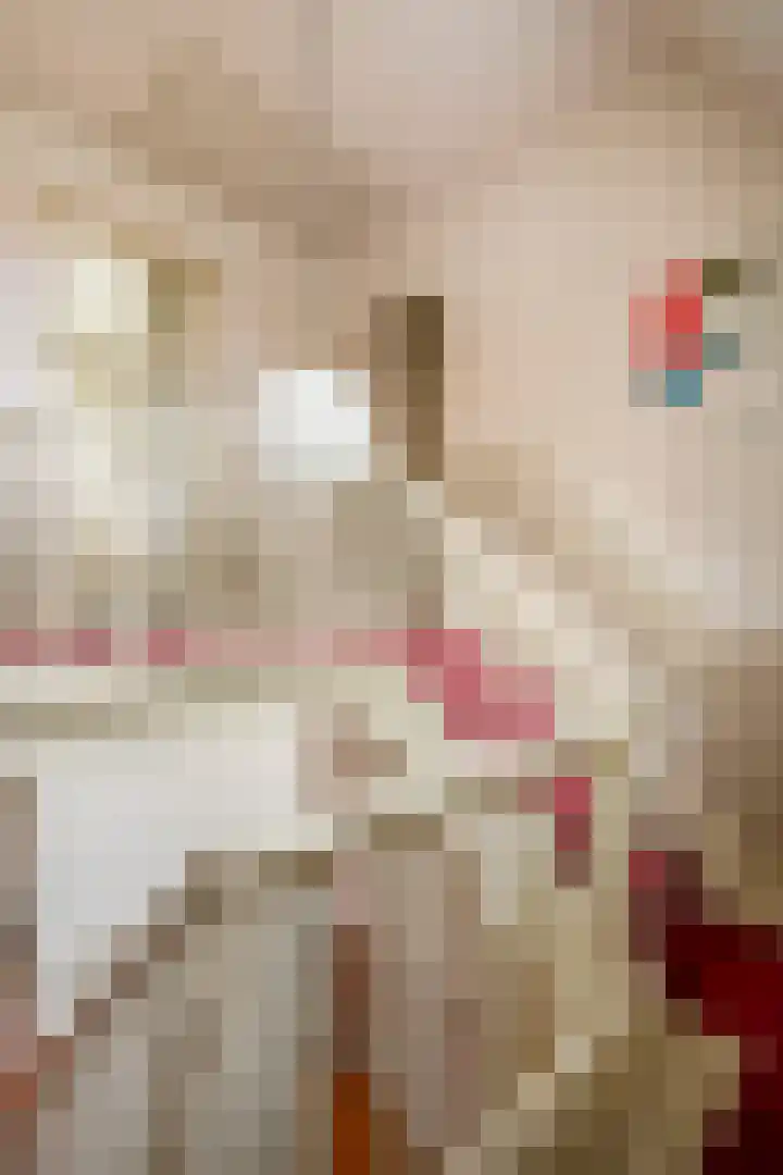 Lede 37 Rotterdam thumbnail 23