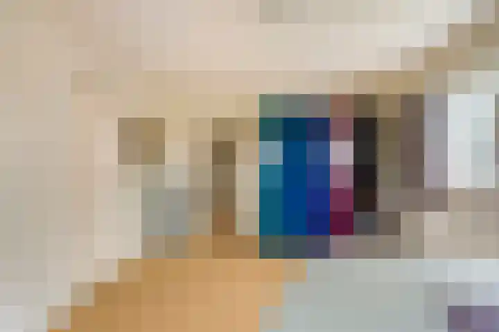 Lede 37 Rotterdam thumbnail 34