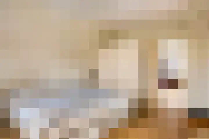 Lede 37 Rotterdam thumbnail 35