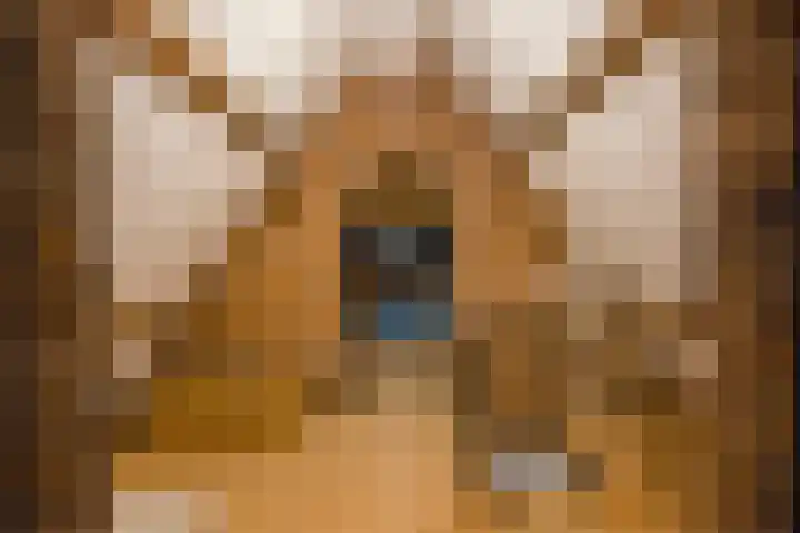 Lede 37 Rotterdam thumbnail 38