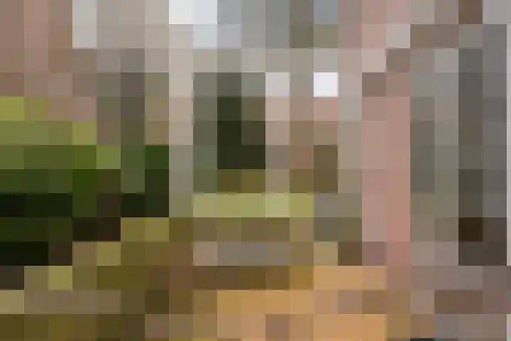 Lede 37 Rotterdam thumbnail 41