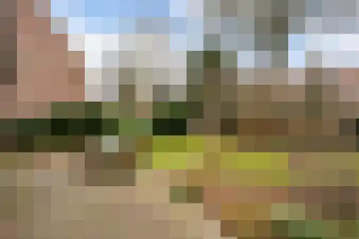 Lede 37 Rotterdam thumbnail 44