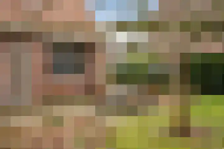 Lede 37 Rotterdam thumbnail 45