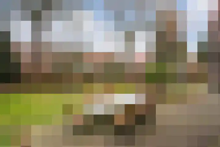 Lede 37 Rotterdam thumbnail 46