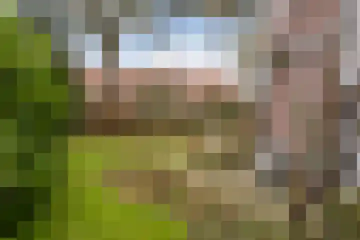 Lede 37 Rotterdam thumbnail 47