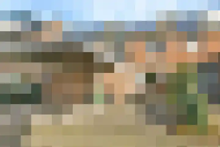 Leden 31 dans Nieuw-Vennep