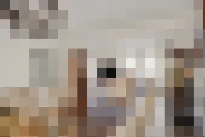 Lederstraat 4 Best thumbnail 14