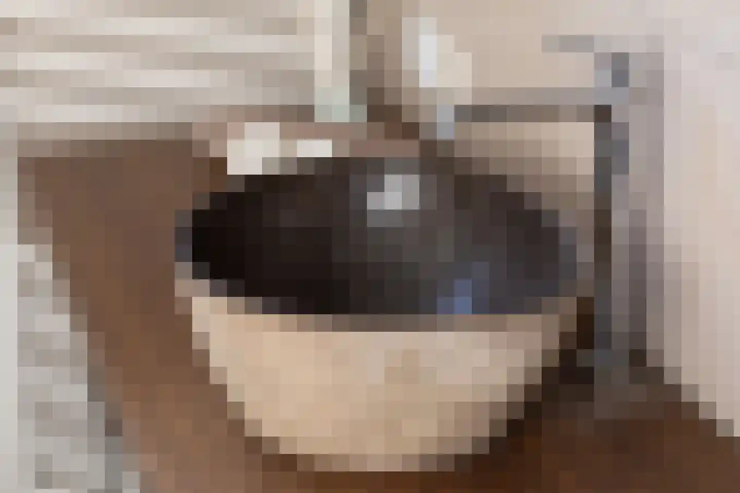Lederstraat 4 Best thumbnail 18