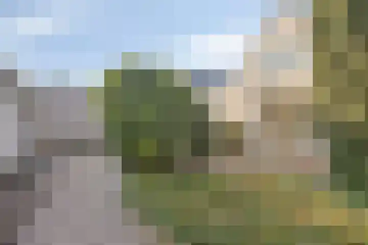 Lederstraat 4 Best thumbnail 32