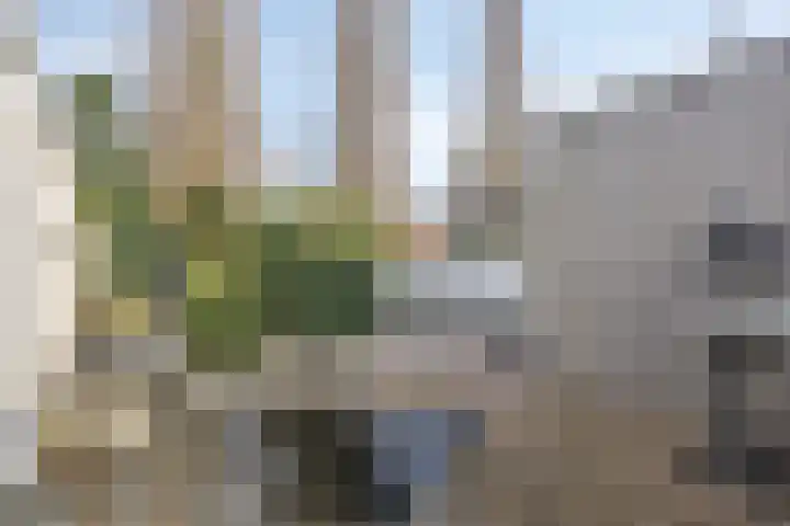Lederstraat 4 Best thumbnail 34