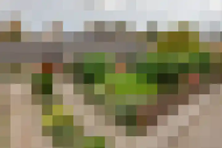 Lederstraat 4 Best thumbnail 37