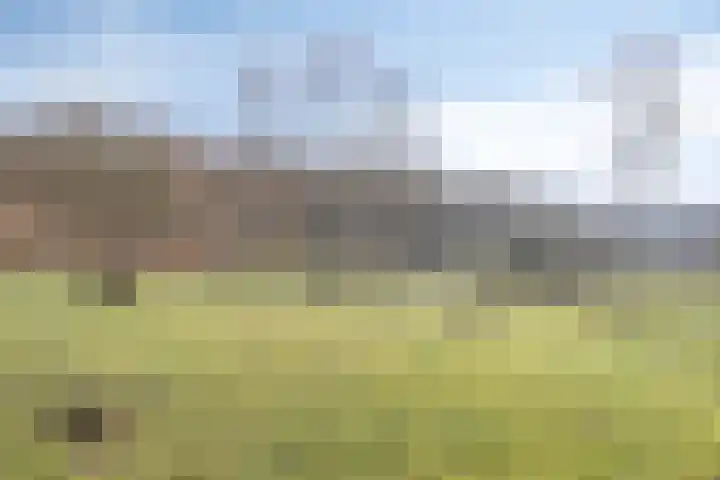 Lederstraat 4 Best thumbnail 41