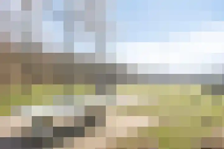 Lederstraat 4 Best thumbnail 42