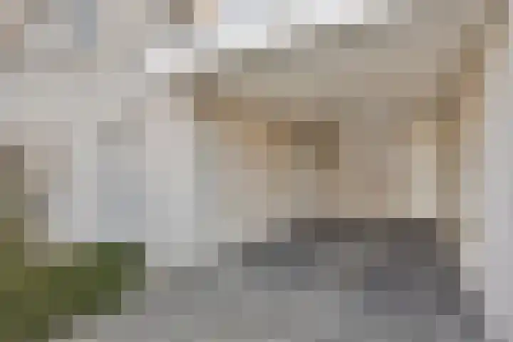Lederstraat 4 Best thumbnail 5