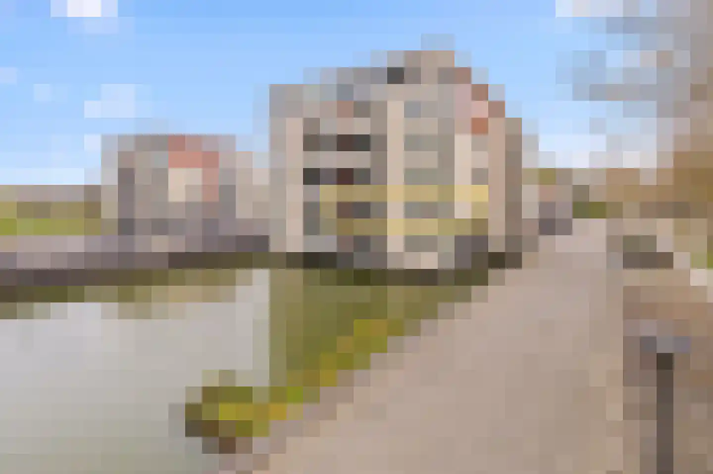 Leede 5 Roosendaal