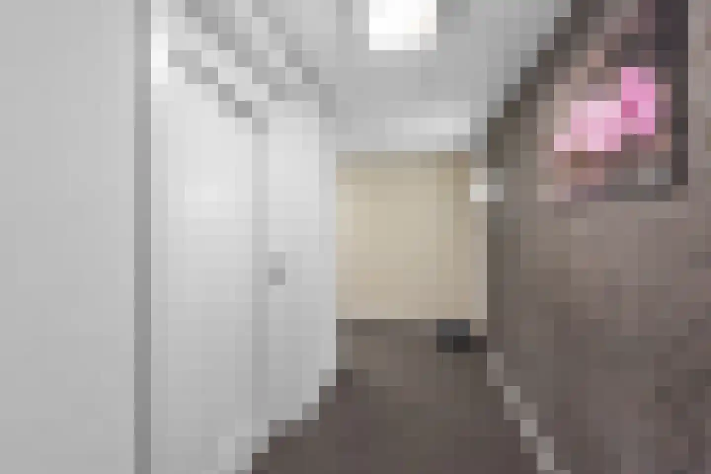 Leede 5 Roosendaal thumbnail 37