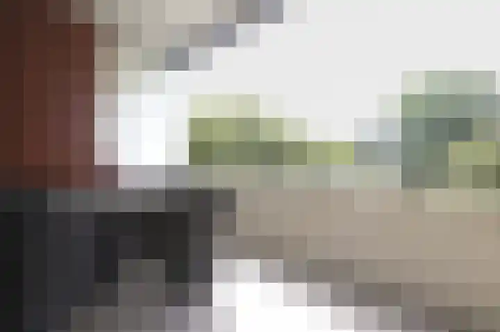 Leede 6 Roosendaal thumbnail 13