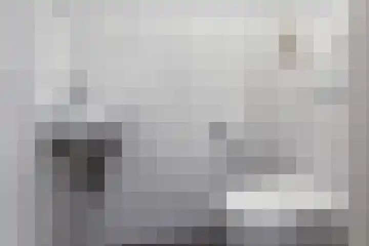 Leede 6 Roosendaal thumbnail 18