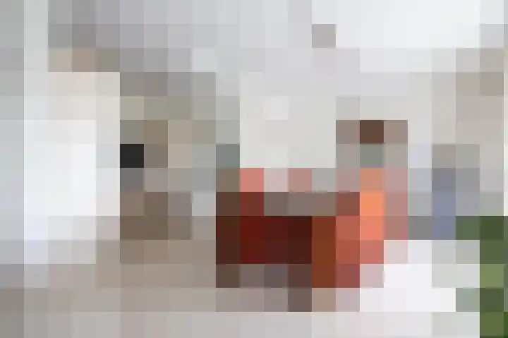 Leede 6 Roosendaal thumbnail 8