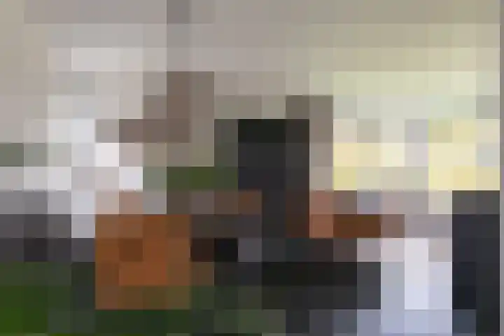Leeghwaterkade 52 Den Haag thumbnail 34