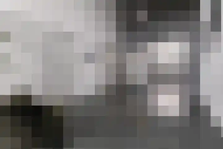 Leeghwaterkade 52 Den Haag thumbnail 37