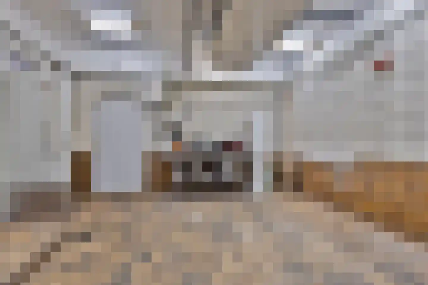Leeghwaterkade 52 Den Haag thumbnail 43