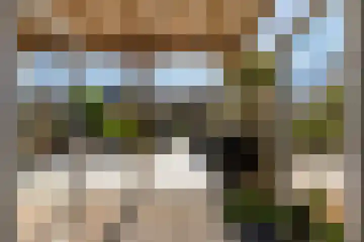 Leeghwaterkade 52 Den Haag thumbnail 9
