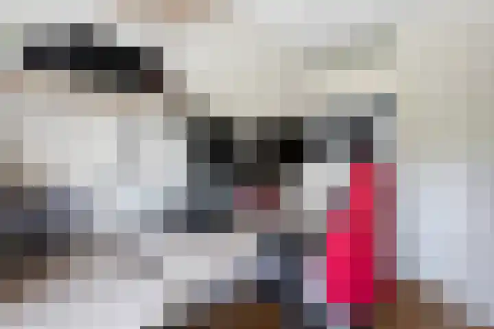 Leeghwaterlaan 13 Deventer thumbnail 17