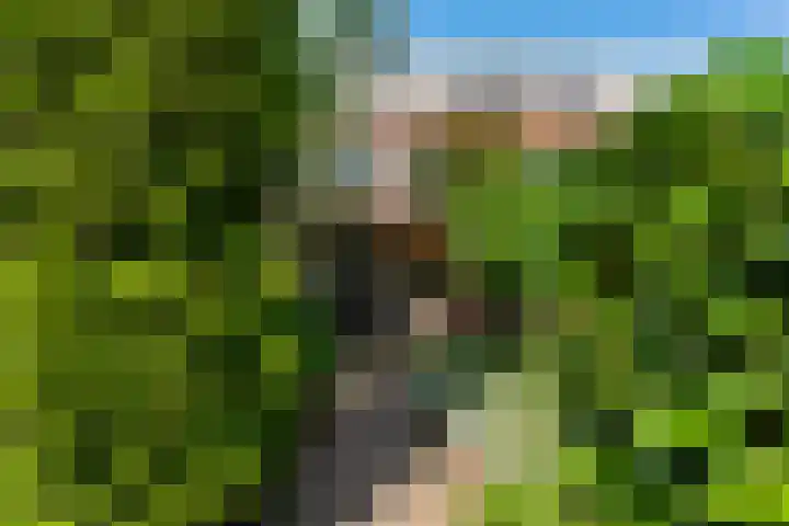Leeghwaterlaan 13 Deventer thumbnail 25