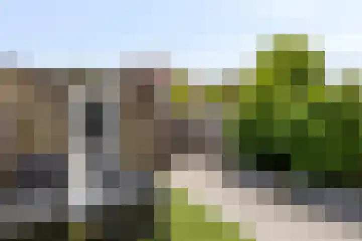 Leeghwaterlaan 41 Deventer thumbnail 13