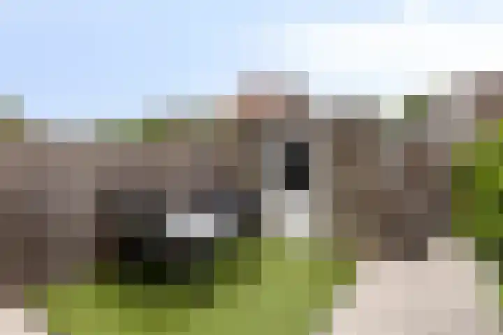 Leeghwaterlaan 41 Deventer thumbnail 14