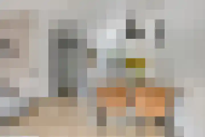 Leeghwaterlaan 41 Deventer thumbnail 9