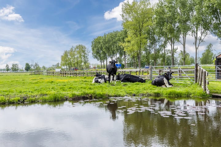 Leeghwaterweg 20A in Zaandam foto
