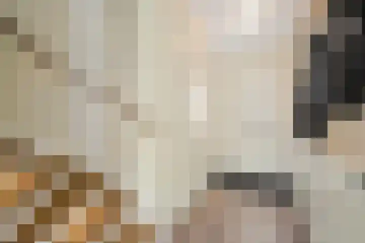 Leehoeve 42 Delft thumbnail 20