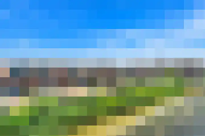 Leehoeve 42 Delft thumbnail 38