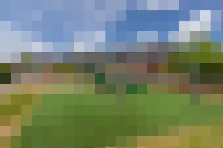 Leehoeve 46 Delft thumbnail 29