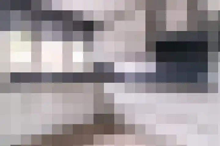 Leehoeve 56 Delft thumbnail 11