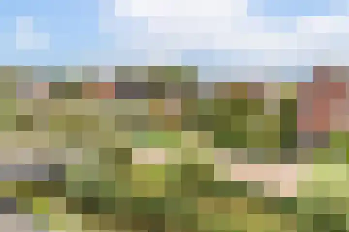 Leehoeve 56 Delft thumbnail 35