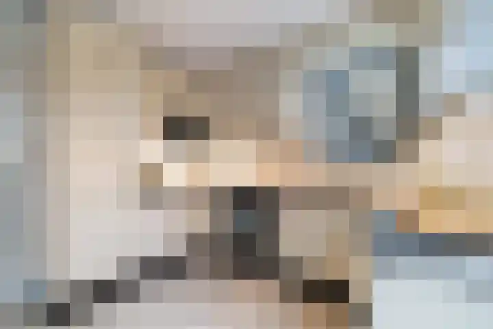 Leekeerd 26 Delfgauw thumbnail 15