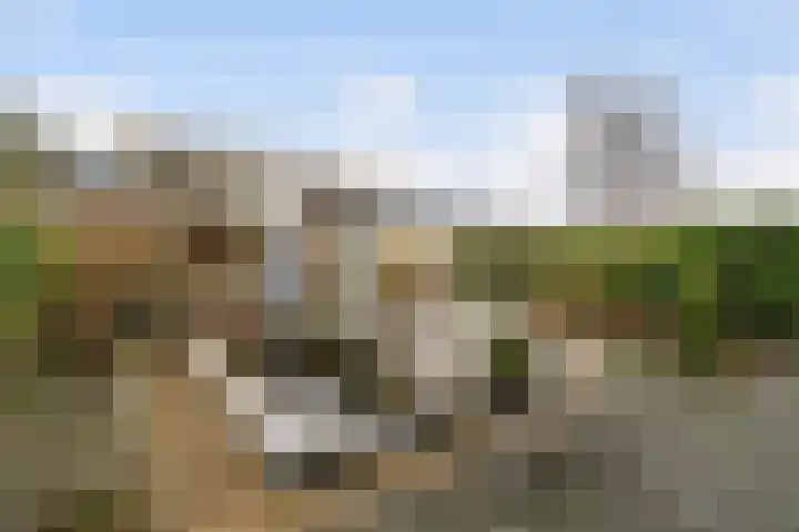 Leekeerd 26 Delfgauw thumbnail 17